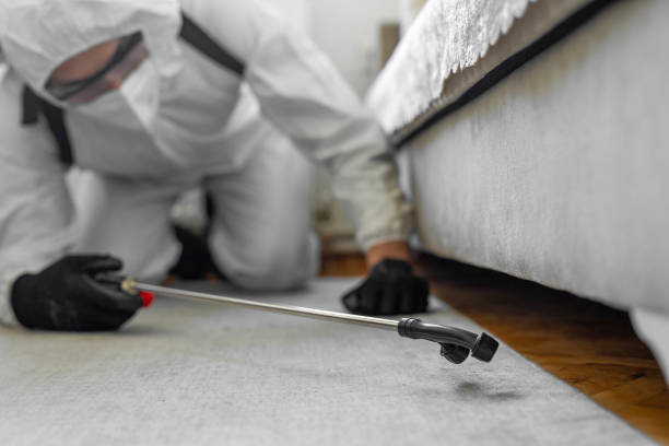Professional Bed Bug Control technician working in Mission Bend, TX