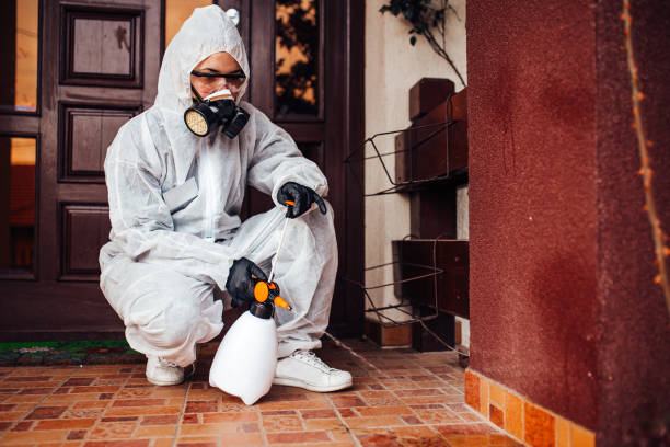 Reliable Bed Bug Control contractor in Mission Bend, TX by Nex Pest Control